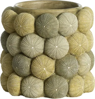 Produktbild von Light & Living - Vase SEA URCHIN - Ø20,5x18cm - Grün
