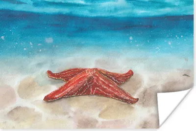 Produktbild von MuchoWow® Poster Meer - Aquarell - Seestern 180x120 cm - Fotoplakat