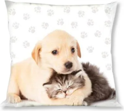 Produktbild von Kissenbezug, 100% Baumwolle, Kinderkissenbezug 40x40cm Hund und Katze