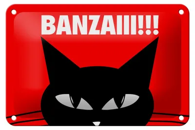 Produktbild von Blechschild Spruch 18x12cm Katze Banzaiii