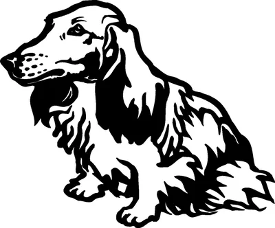 Produktbild von Auto-Aufkleber - Dackel - Langhaardackel - Hund