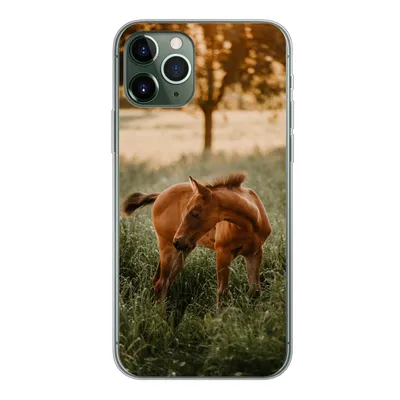 Produktbild von MuchoWow® Handyhülle Schutzhülle Hülle für iPhone 11 Pro Pferd - Gras - Baum Silikon Softcase Handy Hülle - Handy