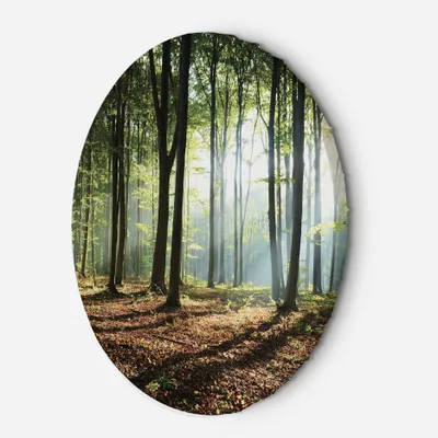 Produktbild von Leinwandbild rund Wald bei Sonnenaufgang 80x80 Feeby Grün bild für die wand bereit zum aufhängen