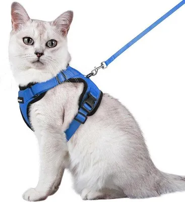Produktbild von Famanu Katzenharness mit Leine, weiches und verstellbares Katzenharness, blau, M