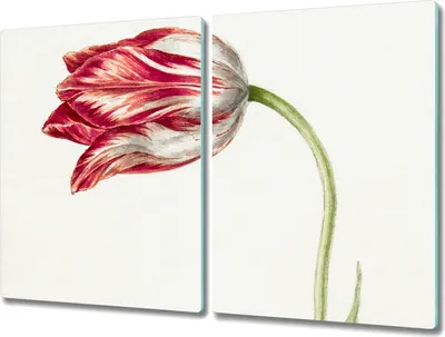 Produktbild von Coloray Hackbrett Kochplattenabdeckung Herdabdeckplatte 2x40x52 cm Schneidebrett Küchenbrett - Blumen Pflanzen