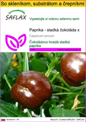 Obrázok produktu pre SAFLAX Kultivačný set - Paprika - sladká čokoláda x - Capsicum annum - 10 Semená - S mini skleníkom, pestovateľským substrátom a 2 črepníkmi