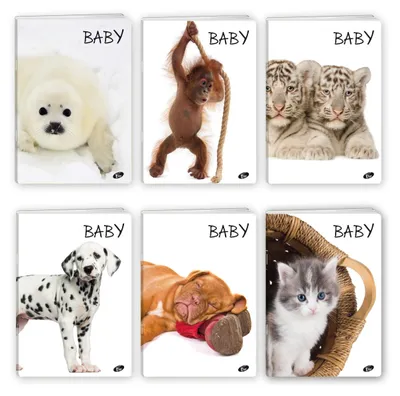 Produktbild von A5-Heft, 32 Seiten, liniert, Kollektion „Baby“, 20 Stück