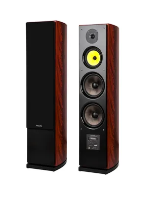 Two tall, dark brown and black speakers are shown against a white background.