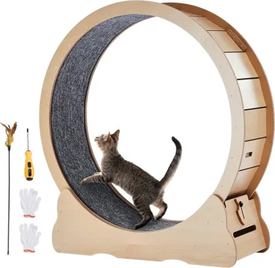Image de Intérieur Roue d'exercice pour chats avec grattoir pour chats - 110cm de tapis roulant - Idéal pour les exercices et l'entraînement des chats