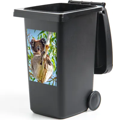 Produktbild von MuchoWow® Mülltonnenaufkleber Koala - Luft - Zweige - Kinder - Jungen - Mädchen 40x60 cm - Mültonnen-sticker - Sticker - Aufkleber für die Mülltonne