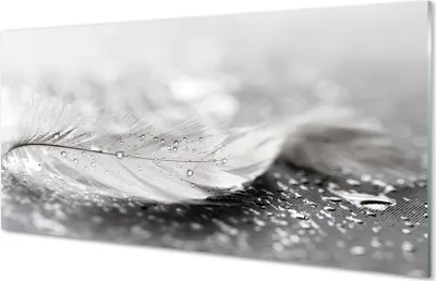 Produktbild von Glasbilder 120x60 Wandkunst Tropfen Feder Makro