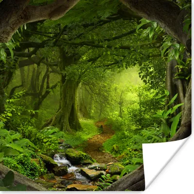 Produktbild von MuchoWow® Poster Dschungel - Grün - Natur - Tropisch - Pflanzen 30x30 cm - Wandposter - Printing