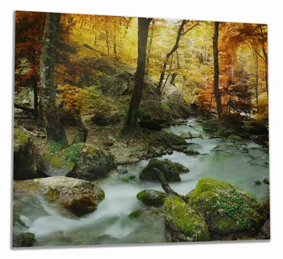 Produktbild von Wallario Herdabdeckplatte aus Glas, Größe 60 x 52 cm 1-teilig, Motiv Wasserfall mit moosbedeckten Steinen im Herbstwald