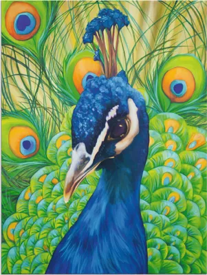 Produktbild von ARTland Wandbild Alu für Innen & Outdoor Pfau Größe: 30x40 cm