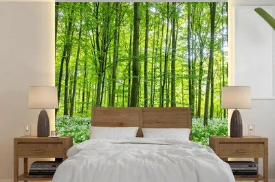 Produktbild von Gründerfolie - Fotowandgründer - Baum - Grün - Breite 220 cm x Höhe 220 cm