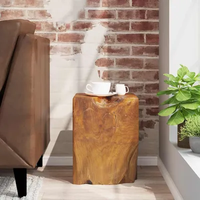 Obrázok produktu pre vidaXL Stolička z masívneho dreva teak