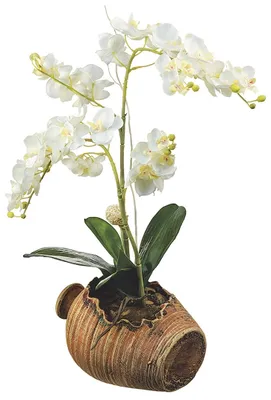 Produktbild von AG Design Wandstickers Orchidee im Blumentopf, 42.5 x 65 cm
