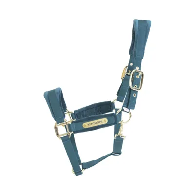 Produktbild von Kentucky Horsewear Halfter Velvet Samthalfter Stallhalfter Smaragd Pony