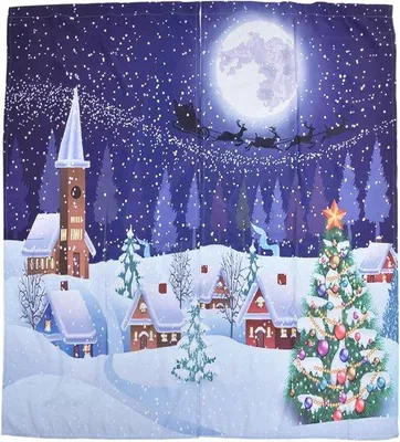 Image de Lot de décorations de Noël d'extérieur pour le salon, stores pour terrasses et vérandas résistants aux intempéries - lot de 2