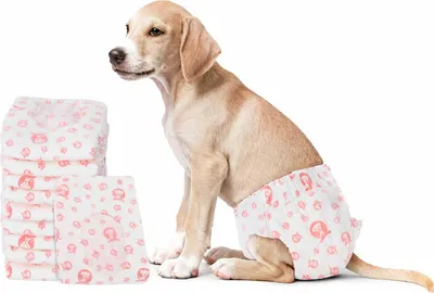 Produktbild von Wegwerf-Hundewindel für Hündinnen 30 pcs Weiß L