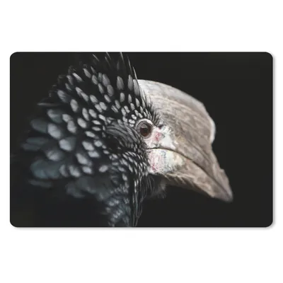 Produktbild von MuchoWow® Schreibtischunterlage Vogel - Schnabel - Federn 60x40 cm - XXL Mauspad - Großes Mauspad