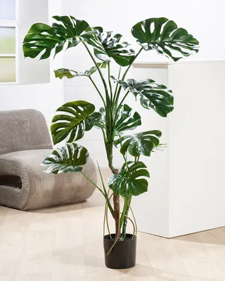 Zdjęcie produktu dla Gilde Getopfte Pflanze, Monstera, Kunststoff, grün, VE 1, H. 120 cm 59041 4063387590416