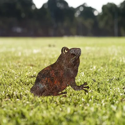 Produktbild von Evila Originals, Frog -A 01, Dekoratives Objekt, Mehrfarbig, 34 x 22 cm