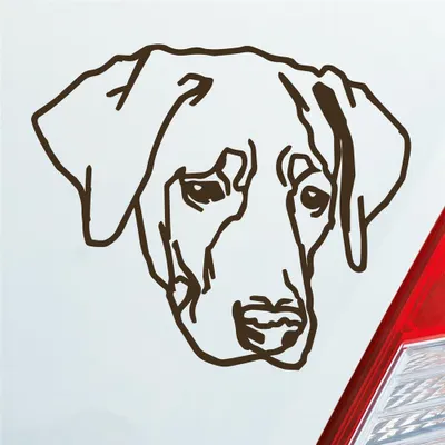 Produktbild von Auto Aufkleber Labrador Labi Labbi Hund Dog 12x10 cm Braun Sticker Heckscheibenaufkleber