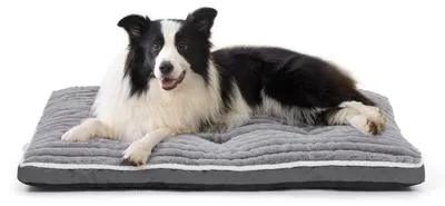 Immagine prodotto di Cuccia per cani di grossa taglia, tappetino per cani lavabile, grigio, 97 x 68 x 7 cm