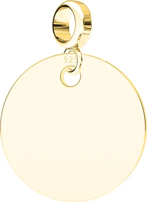 Immagine prodotto di Charms Oro Ciondolo rotondo Anello Anello Cerchio ARGENTO 925