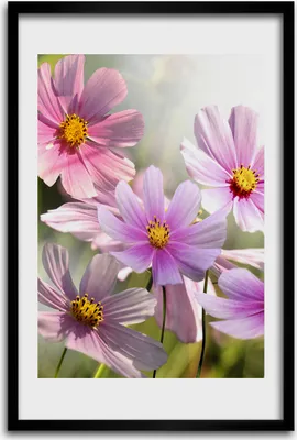 Produktbild von Bild - Bilderrahmen - 40 cm x 60 cm - MDF - Rahmen - Wandkunst - Wildblumen