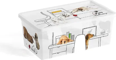 Obrázok produktu pre C Box Style Pets Collection XS, 6l