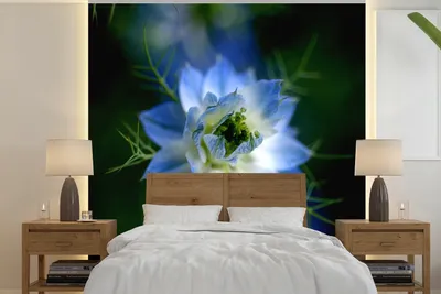 Produktbild von MuchoWow® Fototapete für Wohnzimmer oder Schlafzimmer Wandtapete Vinyl Motivtapete Eine bunte Nigellapflanze - 280x280 cm - Hintergrundbild