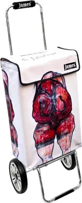 Obrázek produktu pro Nákupní vozík James - MATTERSBERGER - robustní nákupní vozík s individuálním designem - jednobarevný: červený v provedení: Chrome19