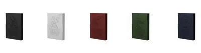 Produktbild von BUNDLE: 5x Dragon Shield Cube Shell (8) - jede Farbe einmal