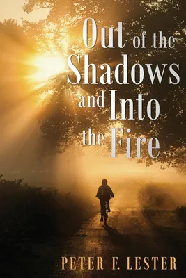 Produktbild von Out of the Shadows and into the Fire