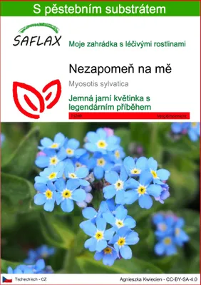 Obrázek produktu pro SAFLAX - Nezapomeň na mě - Myosotis sylvatica - 150 Semena - S pěstebním substrátem bez klíčků