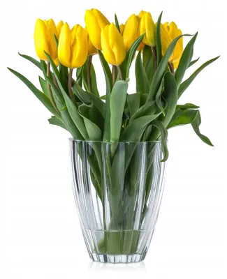Produktbild von Gotglass Glasvase für Blumen und Dekoration, transparent, 17 cm