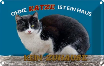Produktbild von vianmo Blechschild 20x30 cm Ohne Katze kein Zuhause Tier Haustier