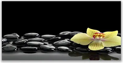 Produktbild von Acrylglasbilder 120x60 Wandbild Druck Blume Steine Küche