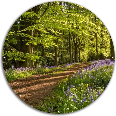 Produktbild von Wallario rundes Outdoor-Poster für Garten oder Balkon, Motiv Blaues Hasenglöckchen im Sommerwald, 60 cm Durchmesser