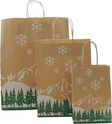 Produktbild von Papiertragetasche "Winterlandschaft" mit Kordel, 90g/qm, 14 + 8 x 21 cm, 25 Stück