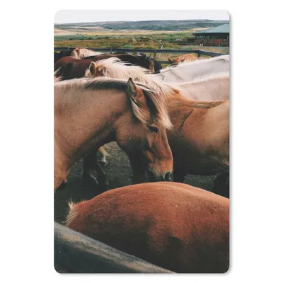 Produktbild von MuchoWow® Mauspad Mousepad Pferde - Tiere - Spiel 18x27 cm - Mousepads - Maus Mat - Pad - Mausunterlage