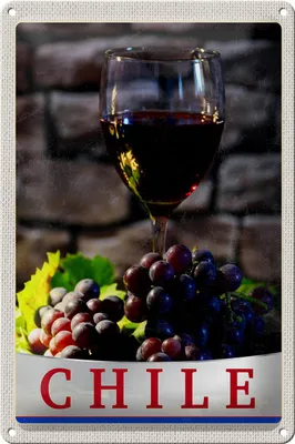 Produktbild von Blechschild Reise 20x30cm Chile Wein Trauben Tradion Urlaub