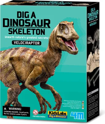 Produktbild von DAM 5613234 children science toy