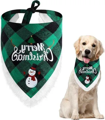 Produktbild von Weihnachts-Hundehalsband grün kariert