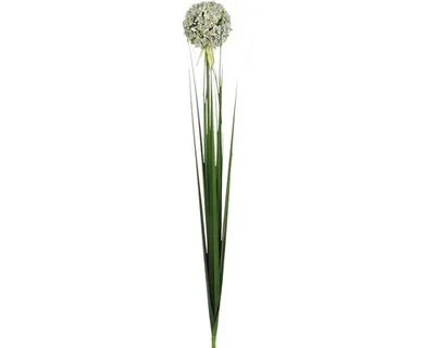 Produktbild von Mica künstliche Allium weiß, 80 cm