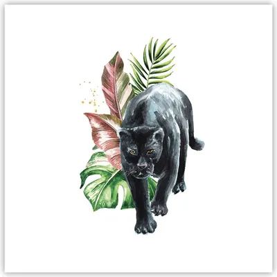 Produktbild von Poster - Poster ohne Rahmen - Schwarz Panther Blätter - 60x60 cm - Wand Bild - Wanddeko - Wandbilder - Kunstposter - Wandposter - Bilder - Kunstdruck - Wanddekoration - Wandbild - P2XAC60x60-4813