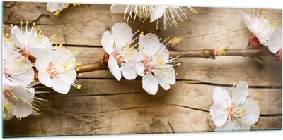 Produktbild von Bilder auf glas - Blume Stängel - 120x50cm - Glasbilder - Wandbilder - Kunstdruck - zum Aufhängen bereit - Wanddekoration aus Glas - Glas Bilder - Wandbild auf Glas - Einteilig - GAB120x50-3537