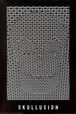 Obrázok produktu pre SKULLUSION – Optický klam – 61 x 91,5 cm – Plagát